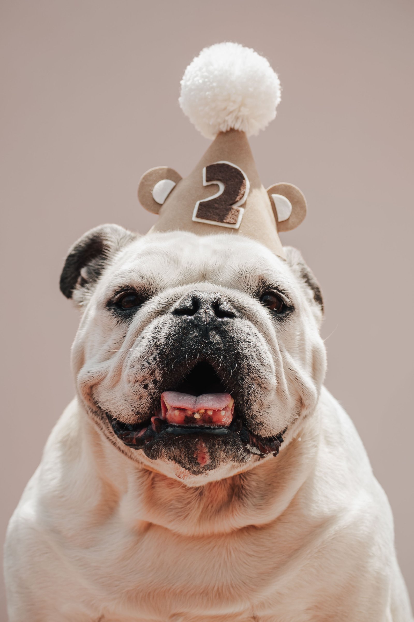 Mascota 21