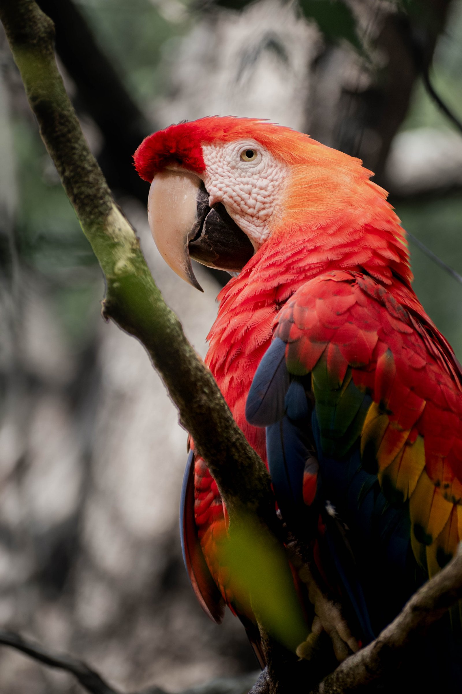 Naturaleza 1