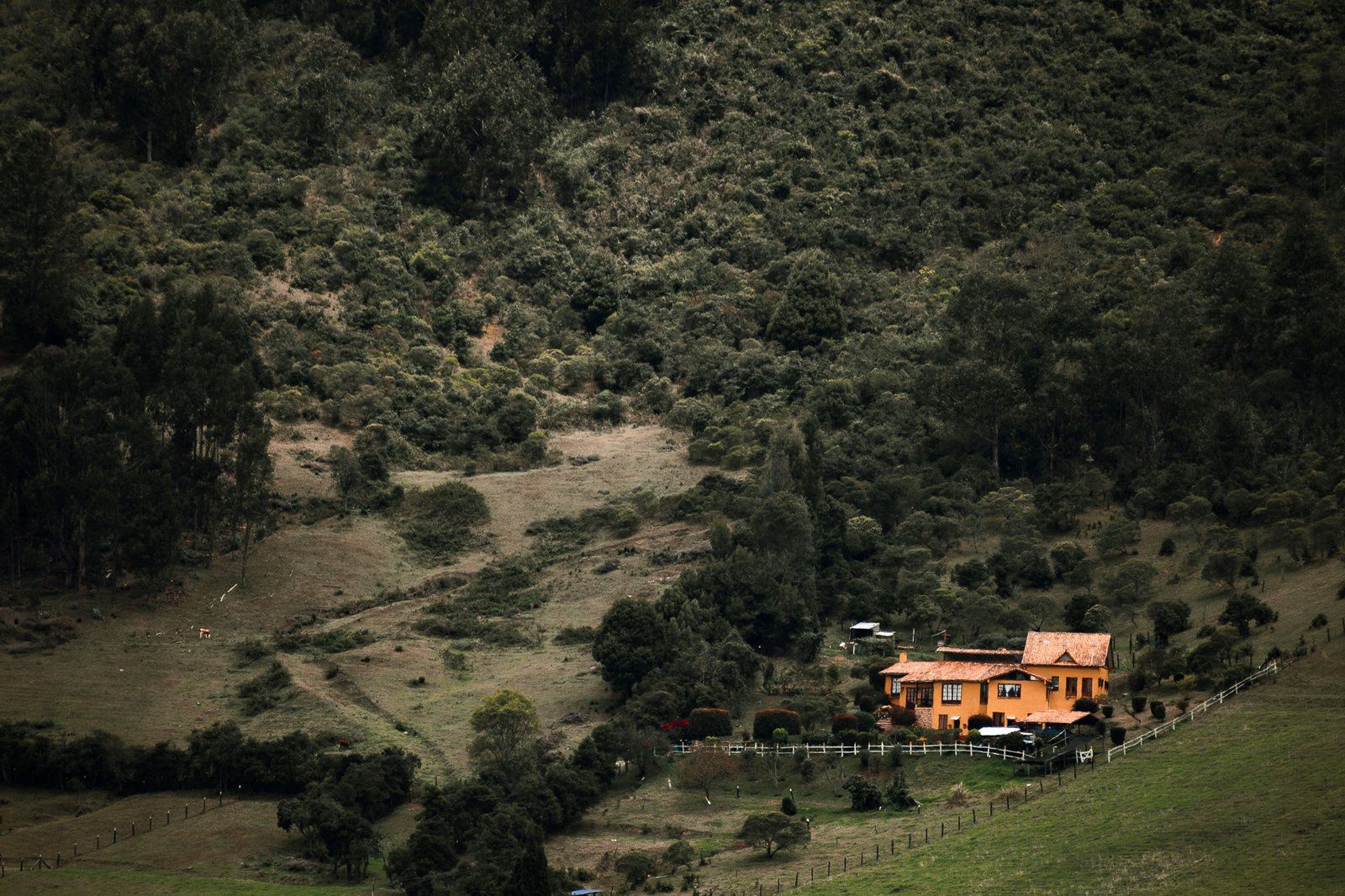 Naturaleza 13