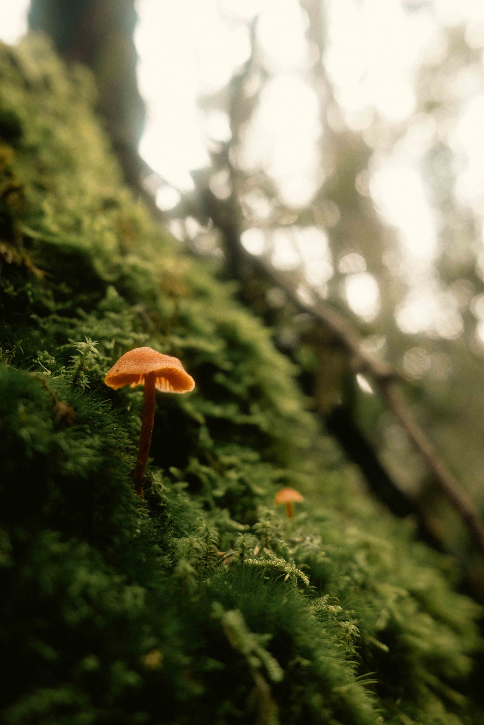 Naturaleza 7